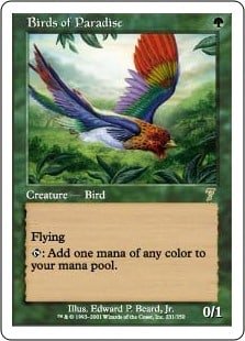 Birds Paradise - Operational Synergy