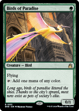 Birds Of Paradise - Mana