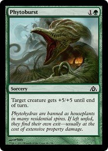 Phytoburst - Finishers